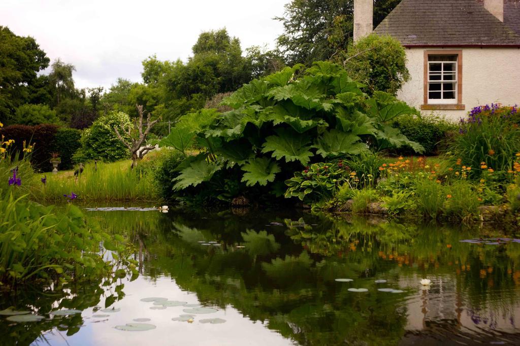 The Dower House Hotel Muir of Ord Camera foto